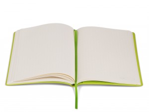 Air Notebook Green